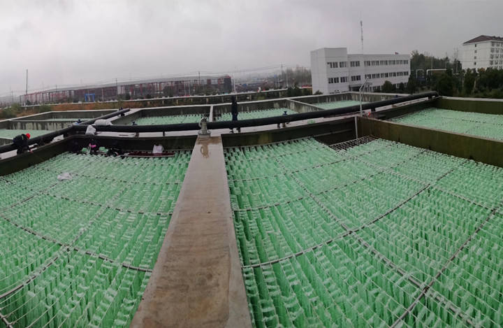 尊龙凯时新质料为安徽某印染废水站提供生物填料革新